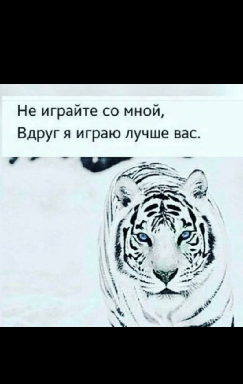йте со мной Не игра Вдруг я играю лучше вас