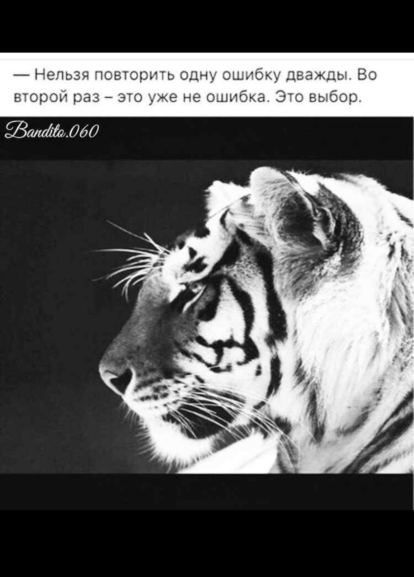 Нельзя повторить одну ошибку дважды Во второй раз это уже не ошибка Это выбор Замка060