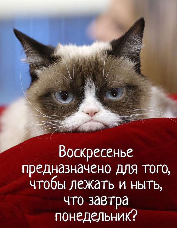 Воскресенье предназначено для того чтобы лежать и ныть что завтра понедельник