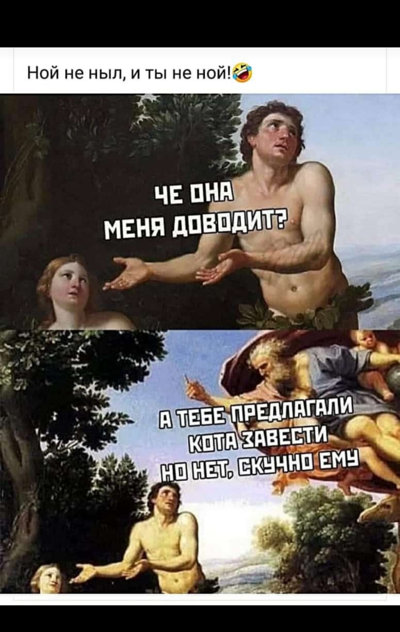 Ной не ныл и ты не нойРЁ