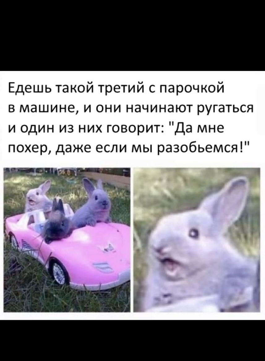 Едешь такой третий с парочкой в машине и они начинают ругаться и один из них говорит Да мне похер даже если мы разобьется