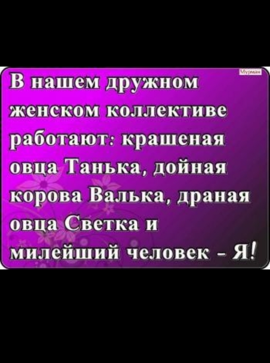 Г _Ч В нашем дружном женском коллективе работают крашеная овца Танька дойная корова Валька драная овца Светка и ьмилейший человек Я