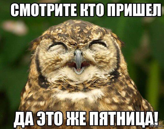 ВМВТРИТЕ НТВ ПРИШЕЛ дд это ЖЕ ПЯТНИШГ