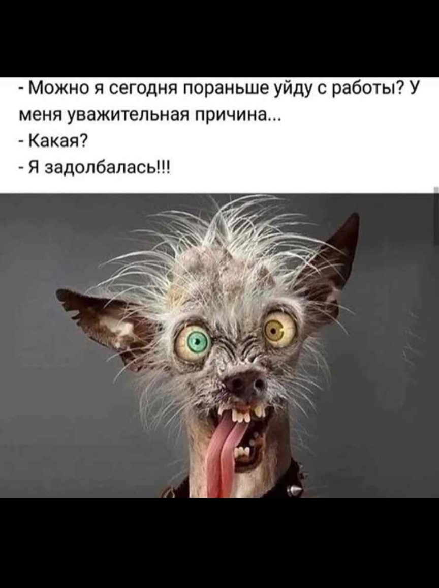 Можно я сегодня пораньше уйду с работы У меня уважительная причина Какая Я задолбалась