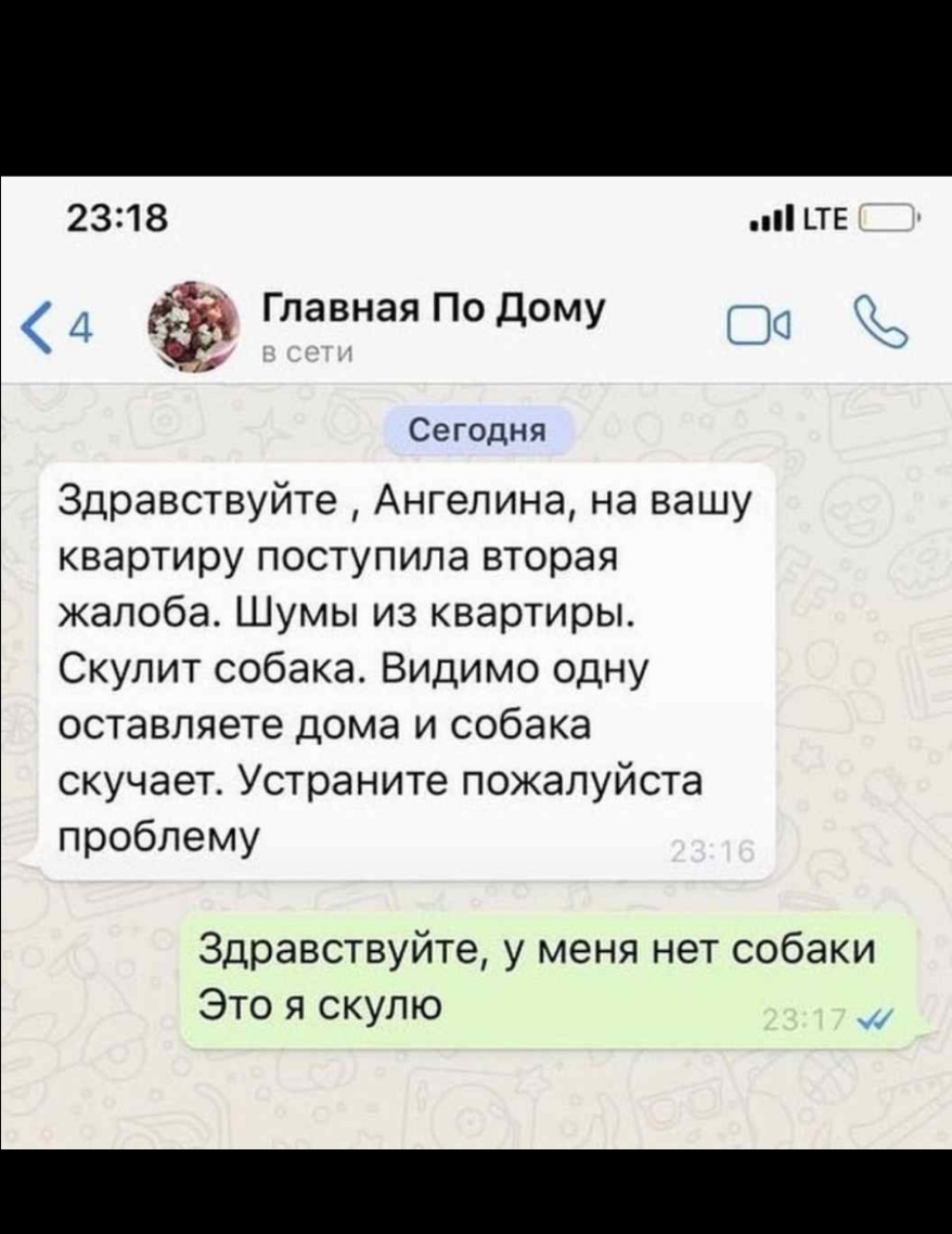 23118 ПЕ Главная По Дому Сегодня Здравствуйте Ангелина на вашу квартиру поступила вторая жалоба Шумы из квартиры Скулит собака Видимо одну оставляете дома и собака скучает Устраните пожалуйста проблему Здравствуйте у меня нет собаки Это я скулю