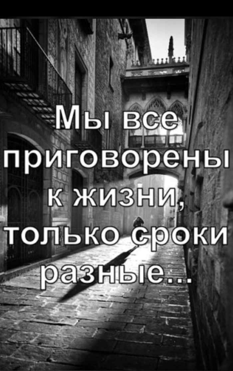 і и м Ы п р Ъго 919 ні і 4 і ЭНЬі 1и 1 ц ч _ дтошько срок