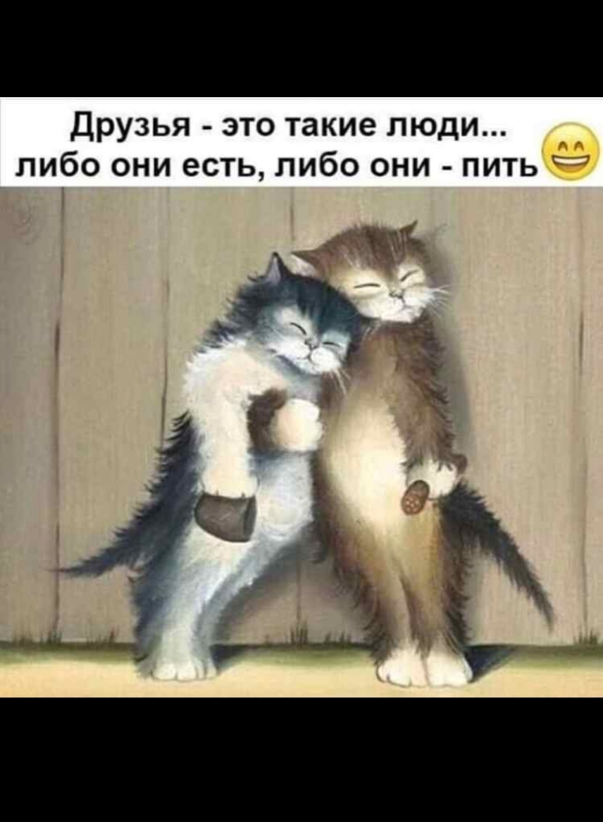 Друзья это такие люди либо они есть либо они пить