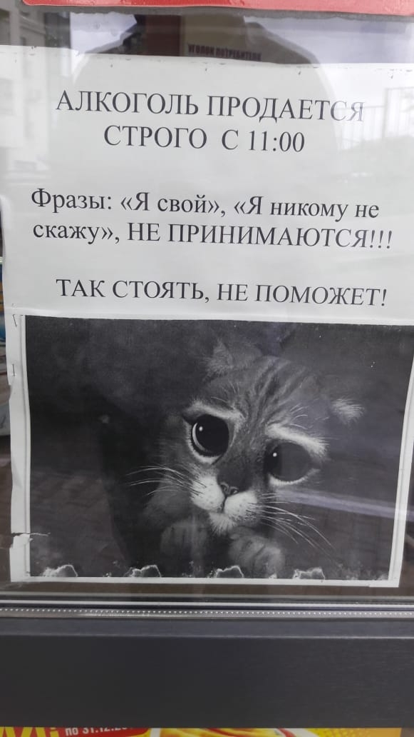 АЛКОГОЛЬ П РОД ЕТ СТРОГО С 1100 Фразы Я свой Я никому не скажу НЕ ПРИНИМАЮТСЯ ТАК СТОЯТЬ НЕ ПОМОЖЕТ