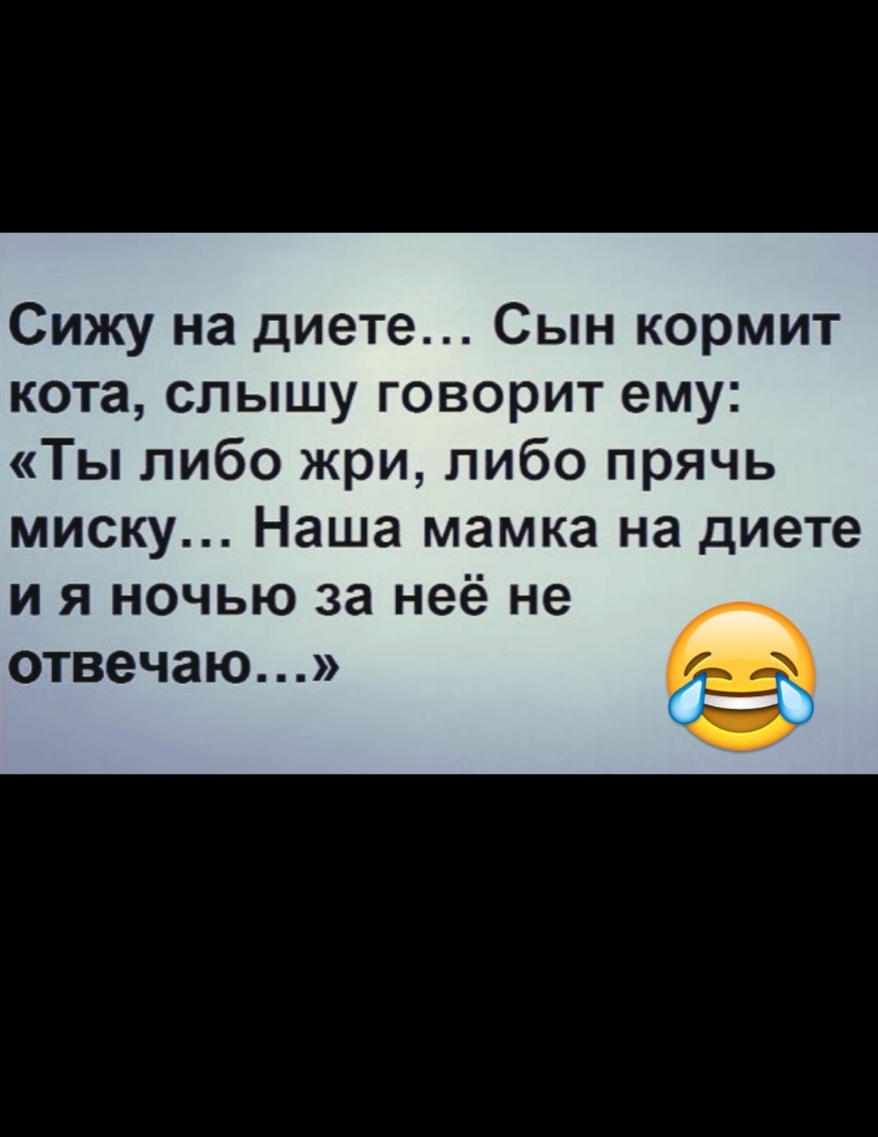 Сижу на диете Сын кормит кота слышу говорит ему Ты либо жри либо прячь миску Наша мамка на диете и я ночью за неё не отвечаю