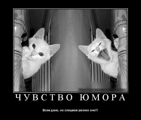 ЧУВС во ЮМОРА мы им 9 ппишпм от