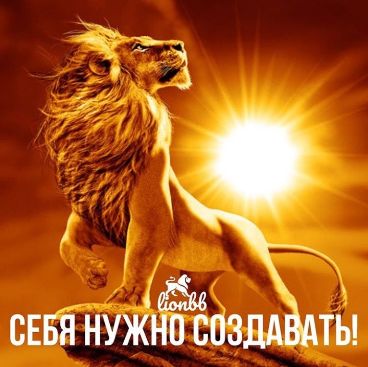 сввя нужно созддёдты