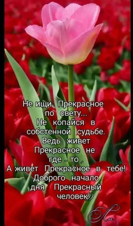 г Доброго аначало дня Прекрасный 1 человек 5