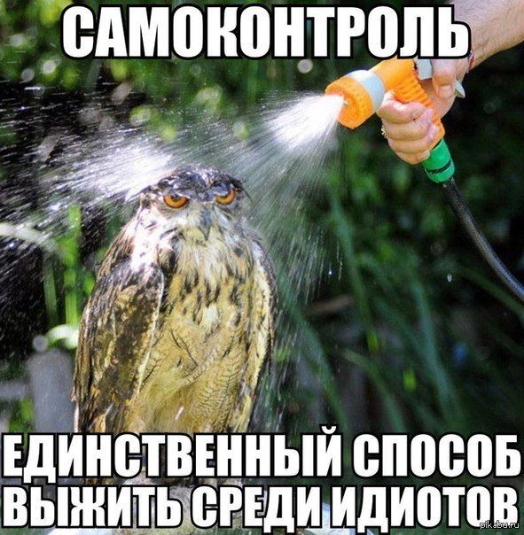 ВАМЁНПНТРШЬ ЕДИНВТВЕННЫИ ВПШЮБ ВЫ ШИТ ЬЦЁЁЕДШДИ0Т1Ш