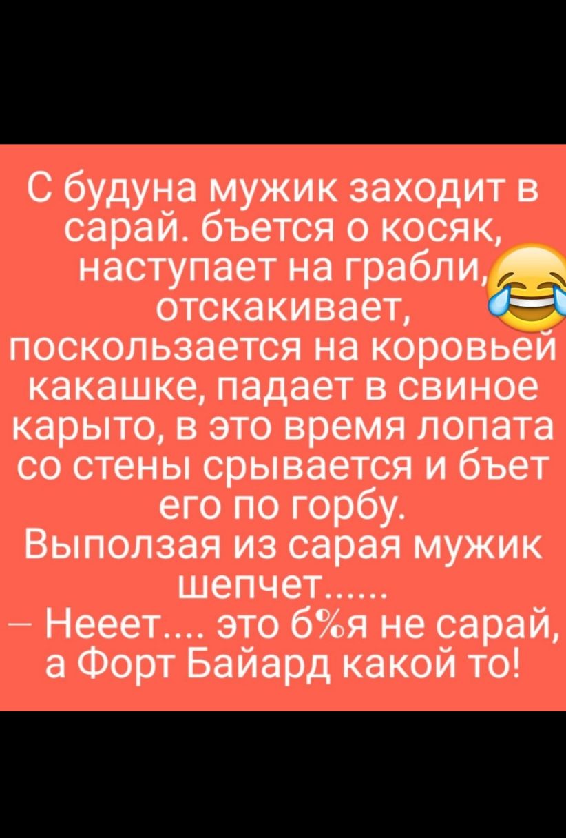 С будуна мужик заходит в сарай бъется о косяк наступает на грабли отскакивает Н поскользается на коровьей какашке падает в свиное карыто в это время лопата со стены срывается и бъет его по горбу Выползая из сарая мужик шепчет Нееет это 6я не сарай а Форт Байард какой то