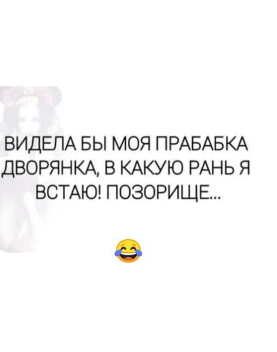ВИДЕЛА БЫ МОЯ ПРАБАБКА ДВОРЯНКА В КАКУЮ РАНЬ Я ВСТАЮ ПОЗОРИЩЕ