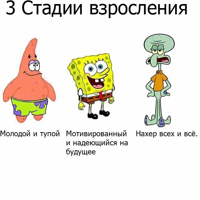3 Стадии взросления Молодой и тупой Мотивированный Нахер всех и всё и надеющийся на будущее