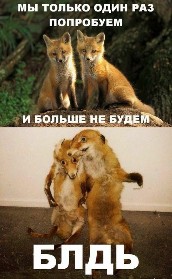 МЫ ТОЛЬКО ОДИН РАЗ ПОПРОБУЕМ и ёёдешё на м