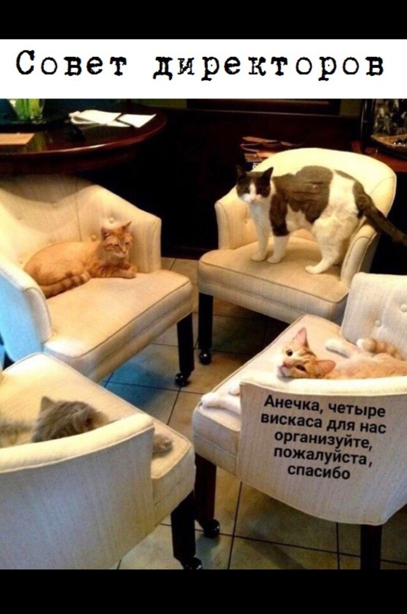 Совет директоров