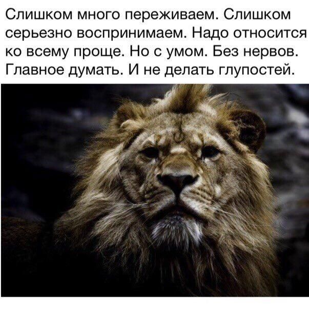 Слишком много переживаем Слишком серьезно воспринимаем Надо относится ко всему проще Но с умом Без нервов Главное думать И не делать глупостей