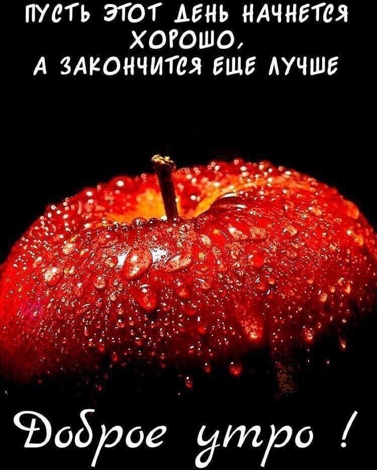 ПУСТЬ ЭТОТ АБНЬ НАЧНЕТСЯ ХОРОШО А ЗАКОНЧИГеЯ ЕЩЕ АУЧШЕ Бобсое тро