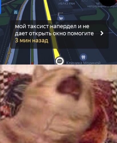 ь инт щ ешыдгы мой таксист напердеп и не дает открыть окно помогите 3 мин назад
