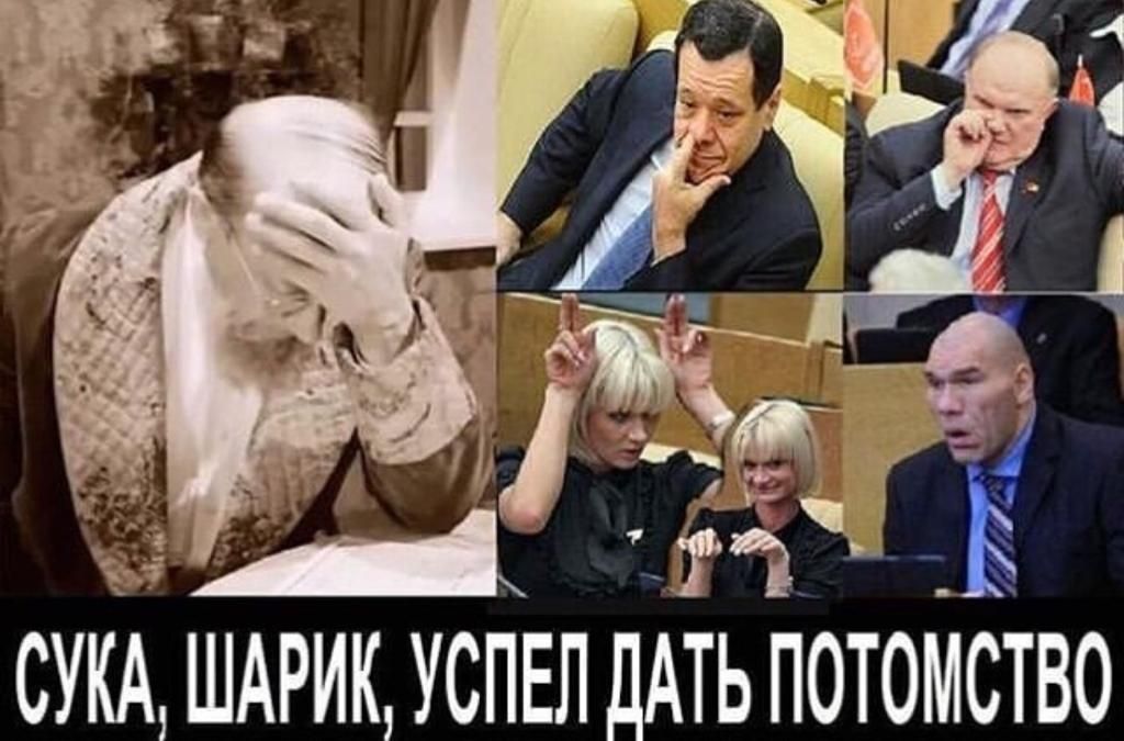 СУКА ШАРИК УСПЕЛ ДАТЬ ПОТОКСТВО