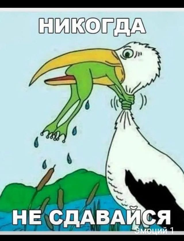 ЁПЩЖСФЁДА
