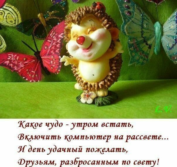 Какре чудо утром встать Вщьючить мпьютер на рассвете 51 день удачный пожиать ЗЪЯЛЪ азбосанным 110 свет