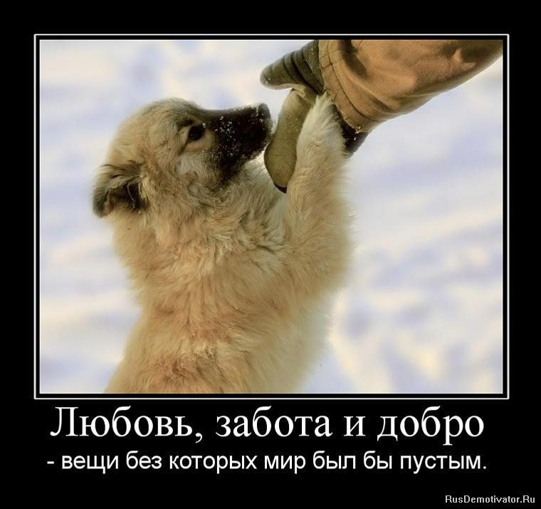 Любовь забота И Добро вещи без которых мир был бы пустым ппзвьшпсішшвп
