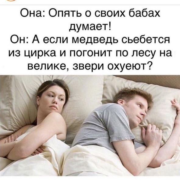 Она Опять о своих бабах думает Он А если медведь сьебется из цирка и погонит по лесу на велике звери охуеют д