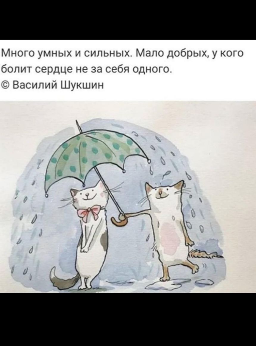 Много умных и сильных Мало добрых у кого болит сердце не за себя одного 59 Василий Шукшин