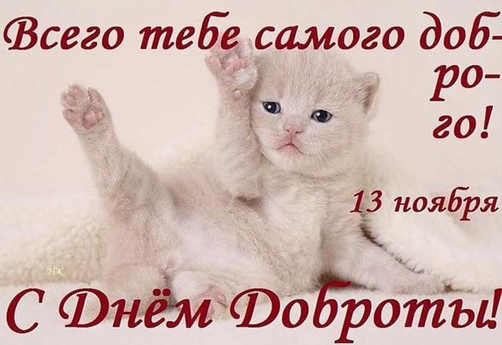 Всего тебе самого доб РО ЁЁ го ъ чё 13 ноября к С днём Фо роты