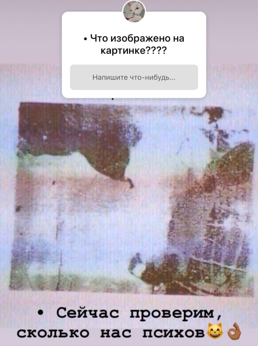 Что изображено на картинке Напишите что нибудь Сейчас проверим сколько нас пшховё