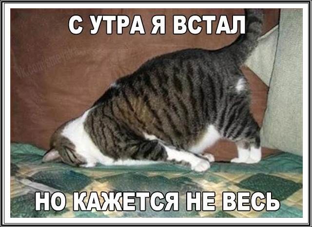 с УТРА я встдл