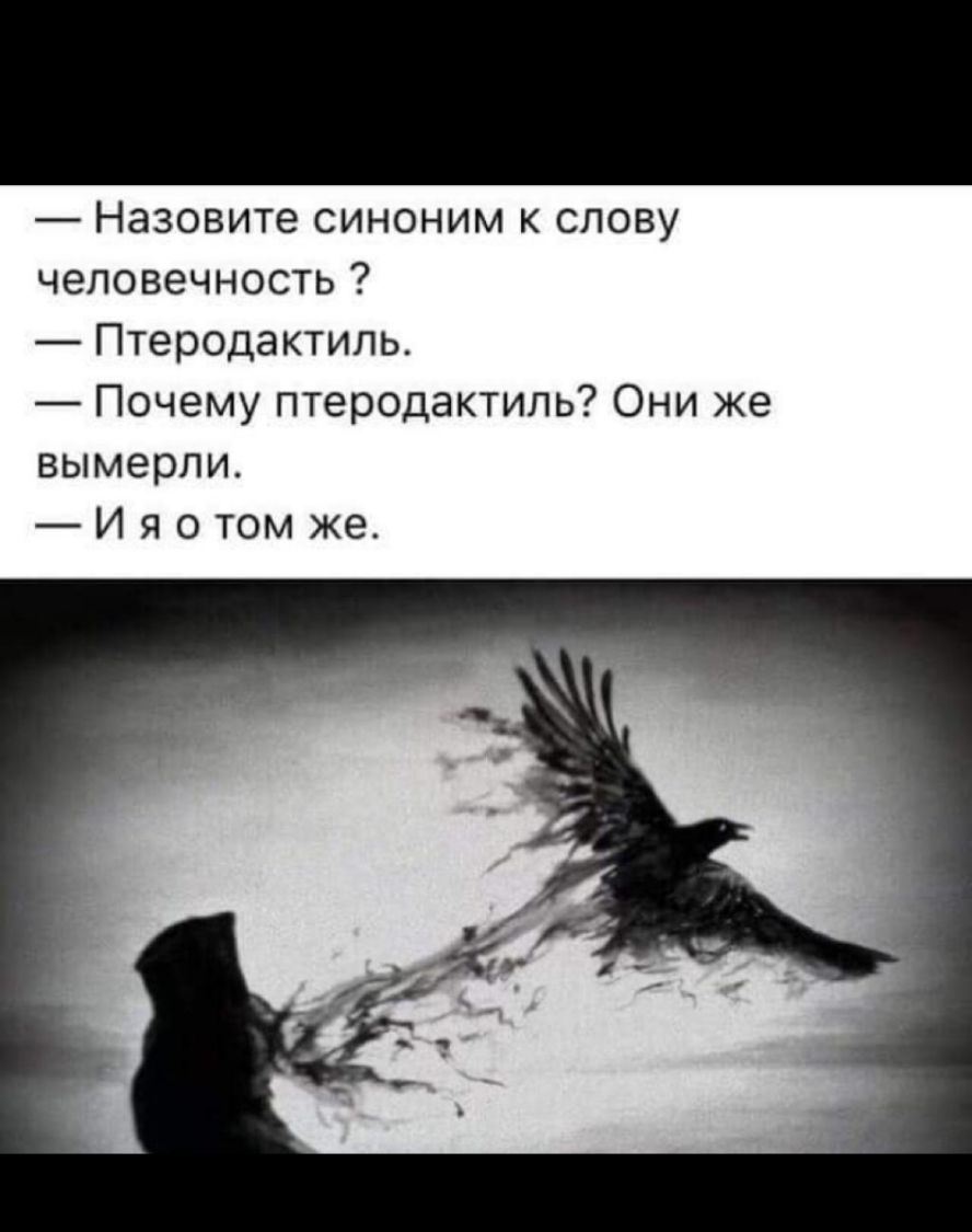 Назовите синоним к слову человечность Птеродактиль Почему птеродактиль Они же вымерли И я о том же