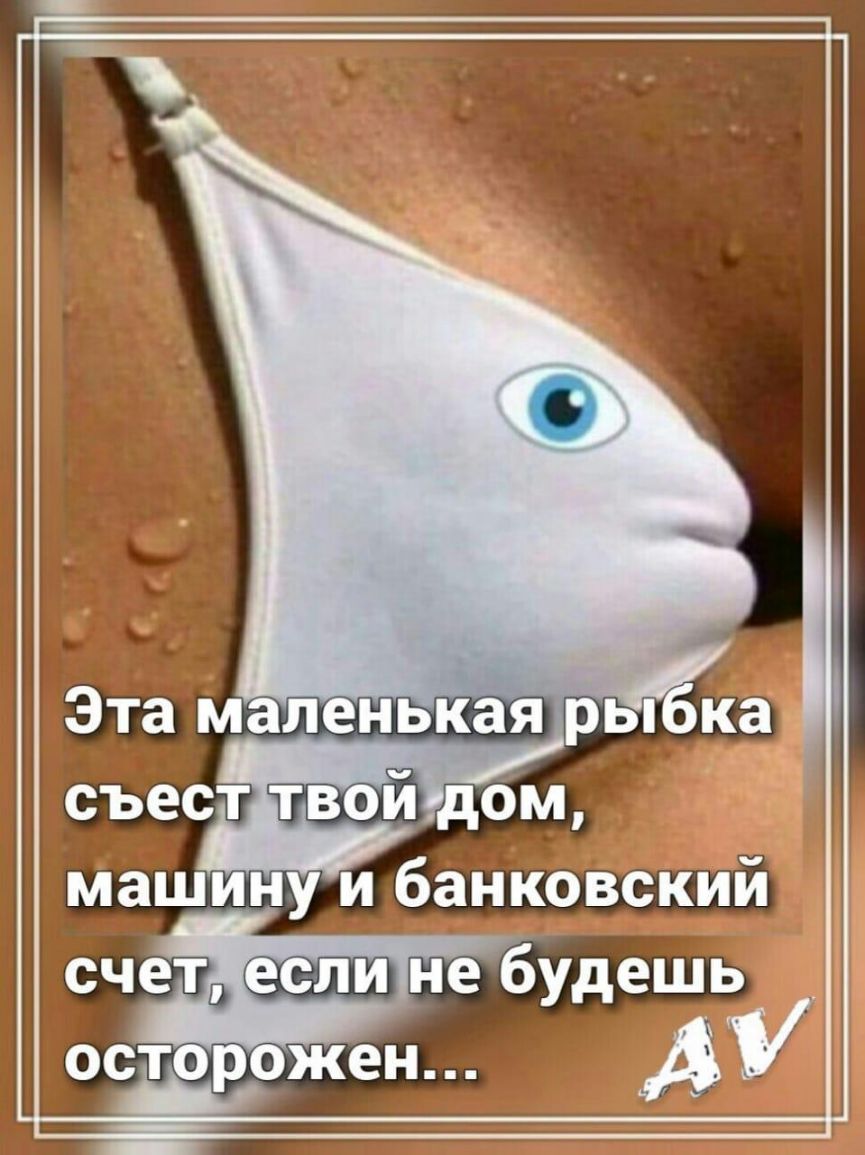 машину и банковский счет не будешь остор жен А