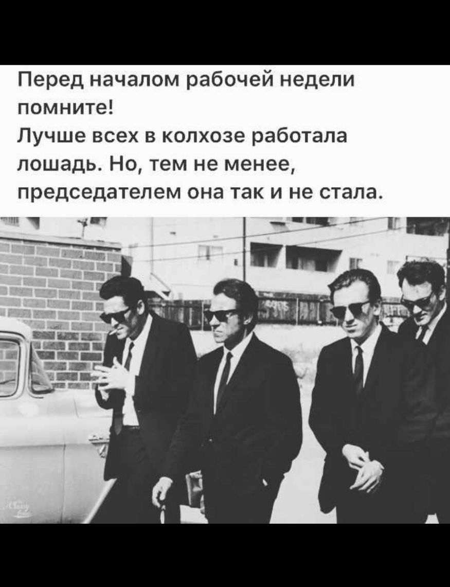 Перед началом рабочей недели помните Лучше всех в колхозе работала лошадь Но тем не менее председателем она так и не стала