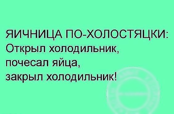 ЯИЧНИЦА ПОХОЛОСТЯЦКИ Открыл холодильник почесал яйца закрыл холодильник