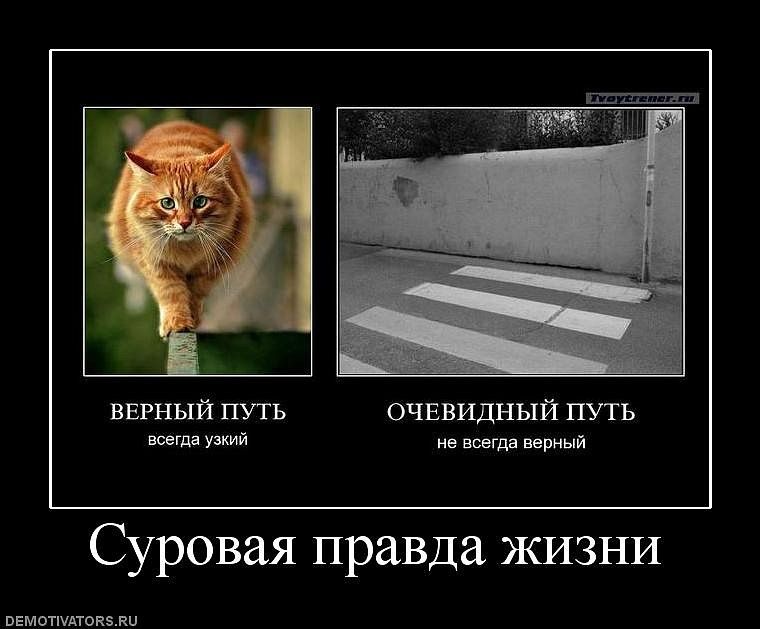 ВЕРНЫЙ ПУТЬ ОЧЕВИДНЫЙ ПУТЬ всегда узкий не всегда верный Суровая правда ЖИЗНИ ввмотшдтикэли