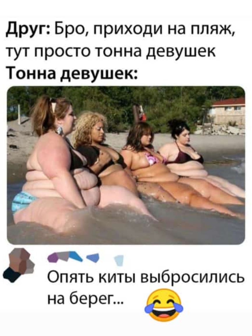 Друг Бро приходи на пляж тут просто тонна девушек Тонна девушек Опять киты выбросились на берег С
