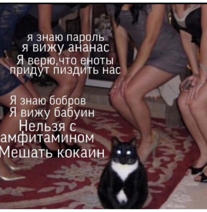 Я знаю пароль Я ВИЖУ ананас Я верючто е_ноты придут пиздить нас зщ Я знаю боб ов Я вижу ба уин Нельзя с амфитамином Мешать кокаин
