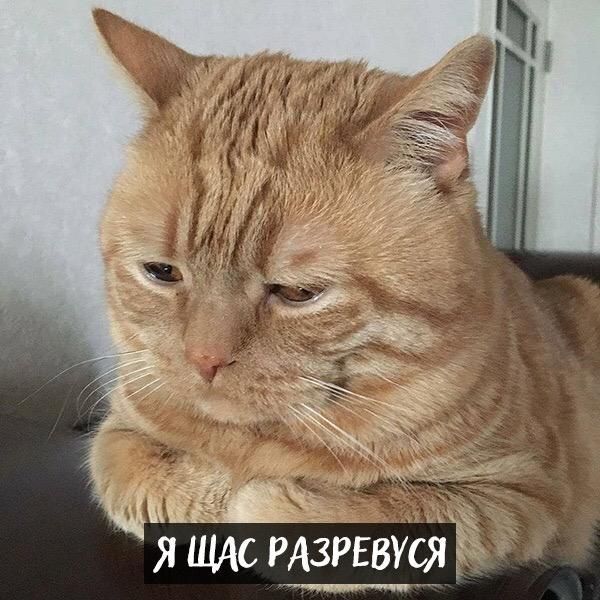 я пис Азрввурд