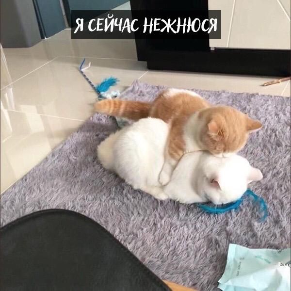 _ А я снйчдс нажал