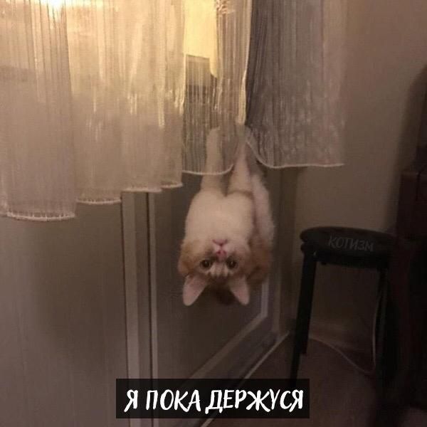 Я ПОКА ДЕРЖУСЯ