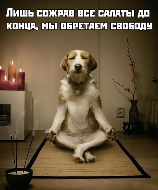 ЛИШЬ ППЖРАВ ЕСЕ ШШПТЫ дп КПНШ мы ПЕРЕТПЕМ ПВПЕПД 5 д _ 5 Т Ех
