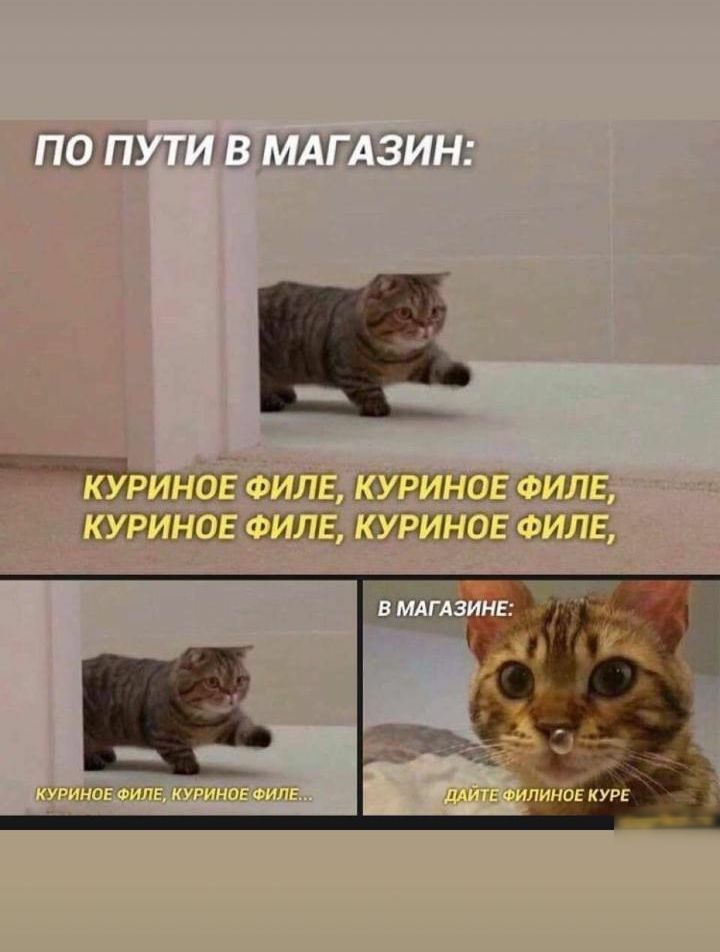 тП5шгьггц3іиг 1Шшшз кишка аши 113 виш ФУЁШЩЁЧППЕ 143ПШ