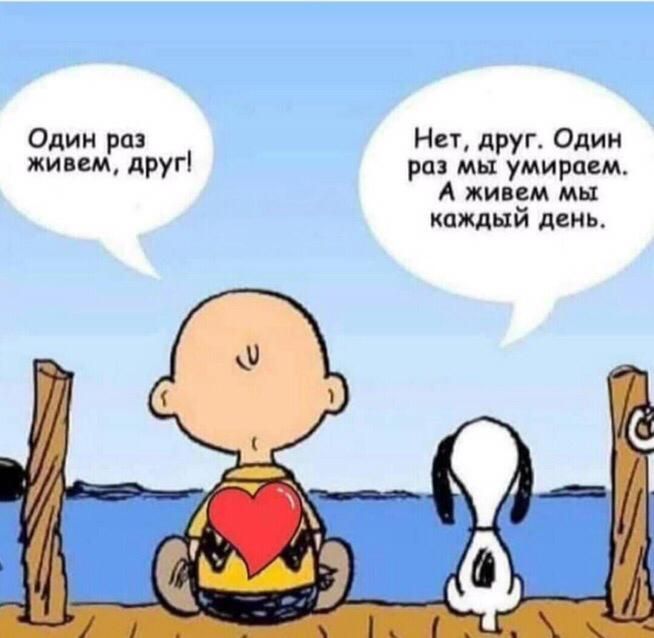 Один раз Нет друг Один живем другі раз мы умираем А живем мы каждый день