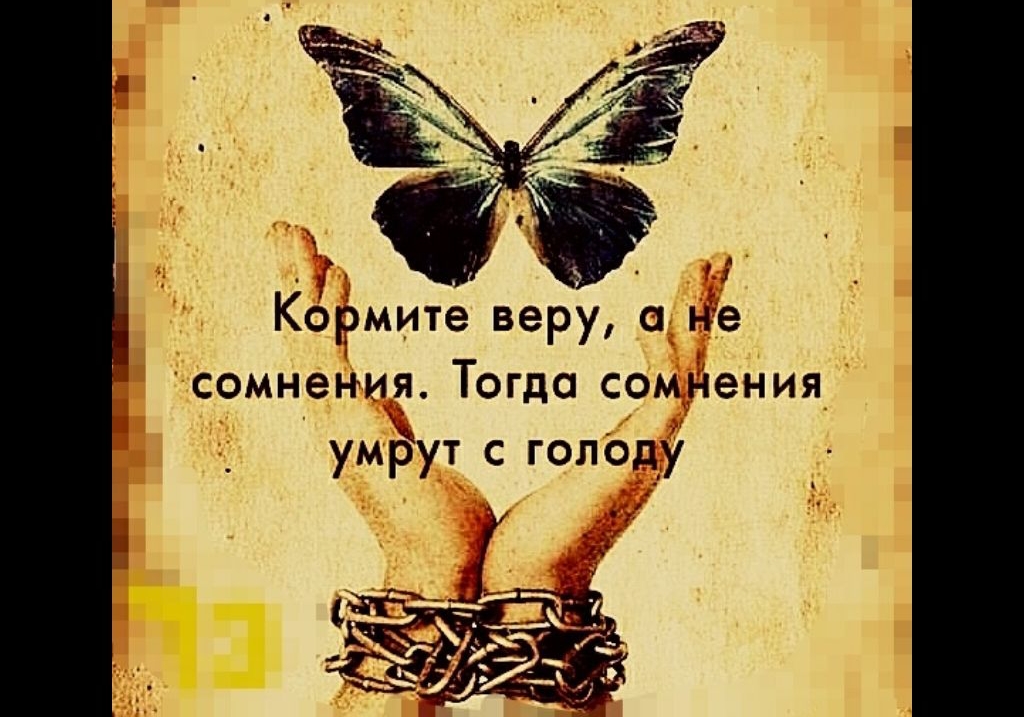 Кормите веру а не сомнения Тогда сомНения уміЗут с голоду