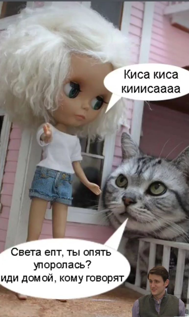 Киса киса кииисаааа Света епт ты опять упоролась иди дом ой кому говорят
