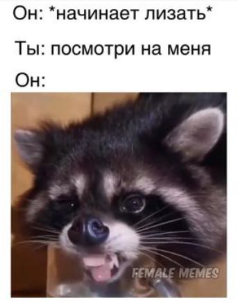 Он начинает лизать Ты посмотри на меня Он